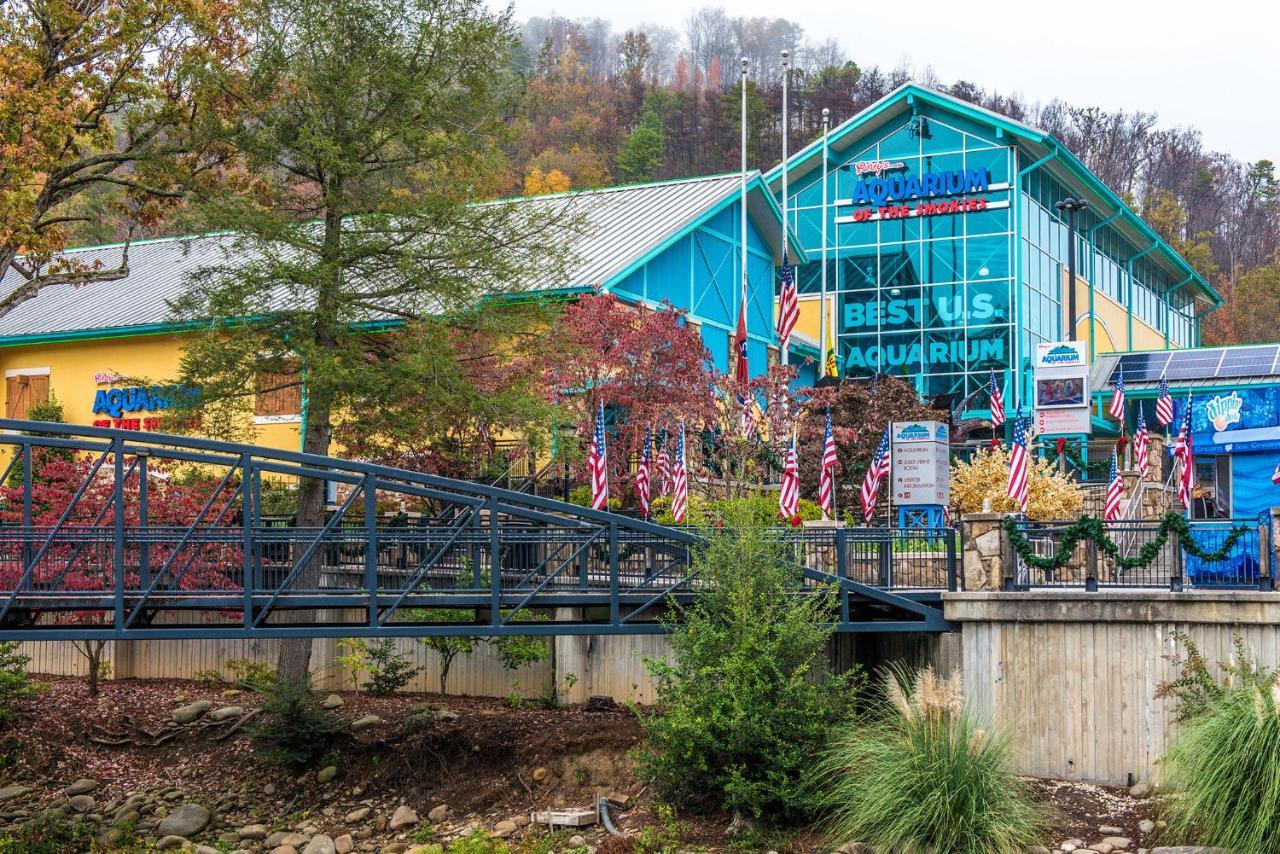 Cabin Of Dreams, 3 Bedroom Water View, Wifi, Hot Tub, Pool Table, Sleep 8 Sevierville Luaran gambar